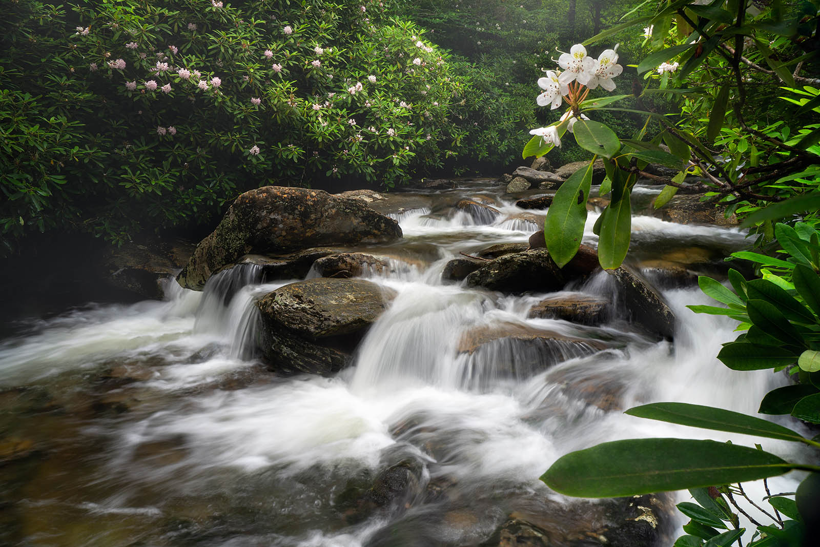 Mountain Stream