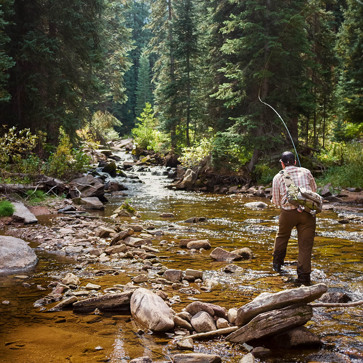 Fly Fishing Colorado creek