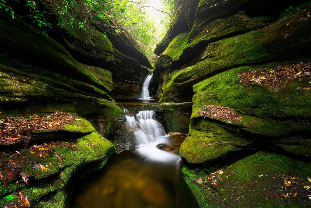 Trout & Waterfalls