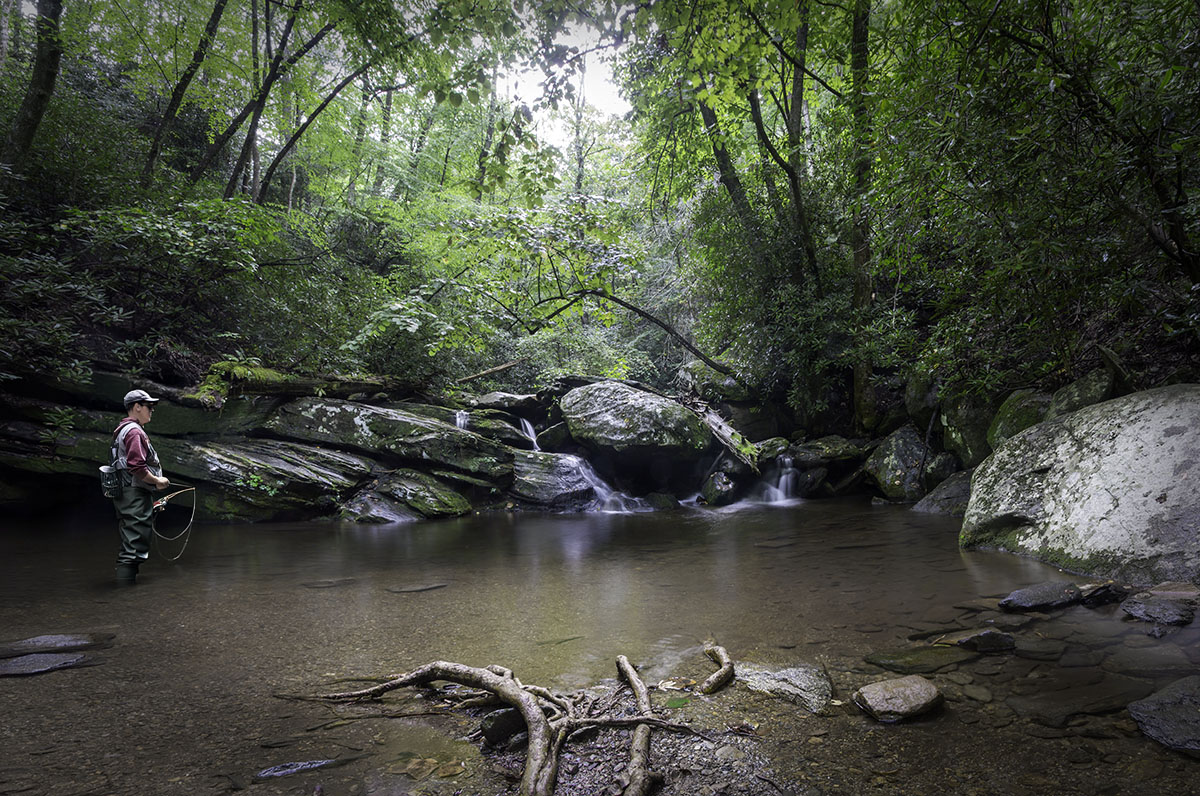 Fly Fisher