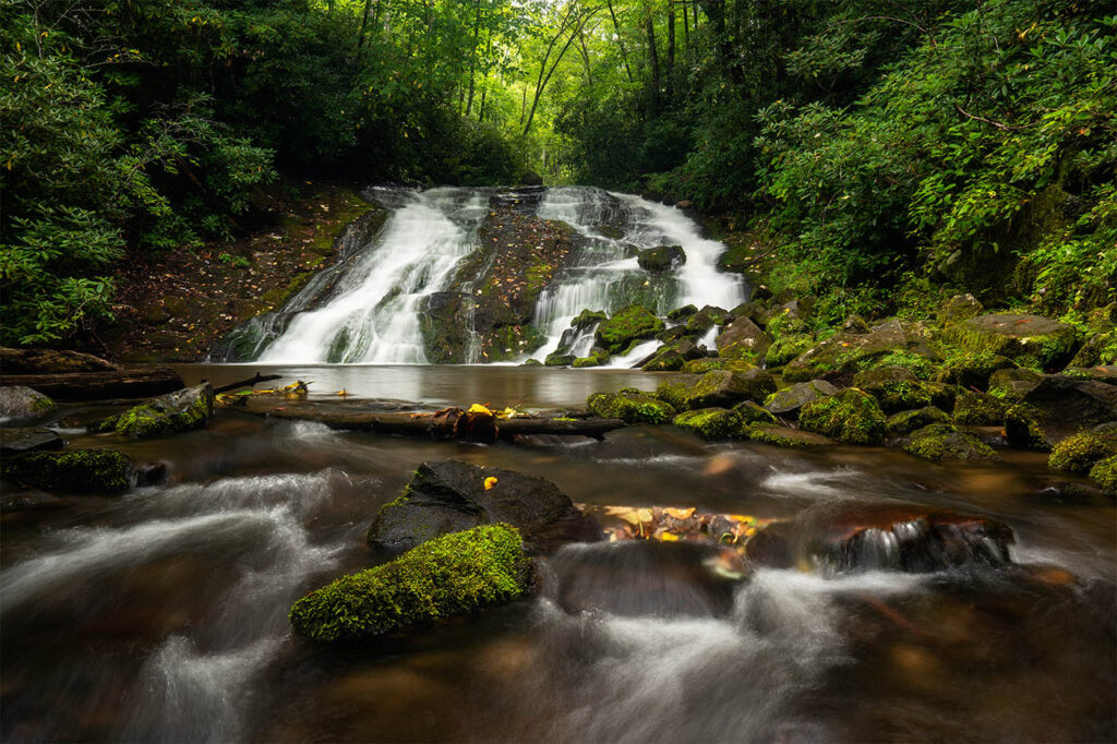 Trout and Waterfalls Tour